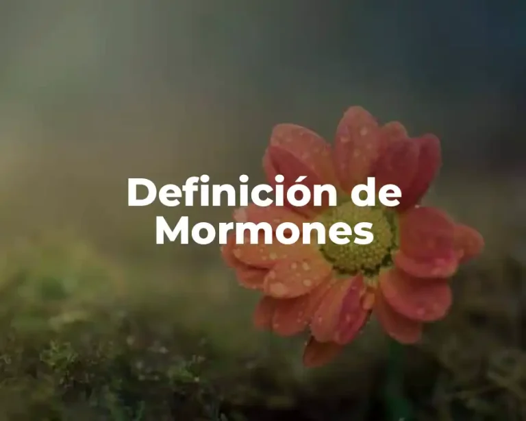 Definición de Mormones