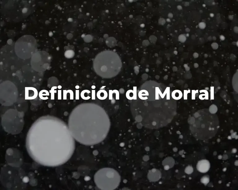 Definición de Morral