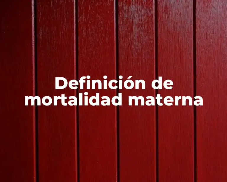 Definición de mortalidad materna