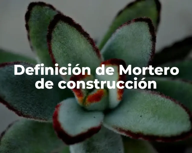 Definición de Mortero de construcción