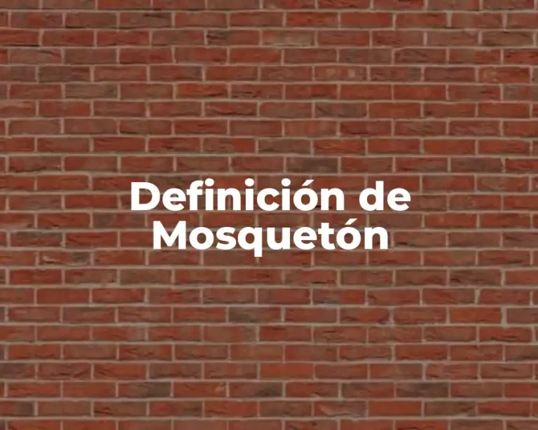 Definición de Mosquetón