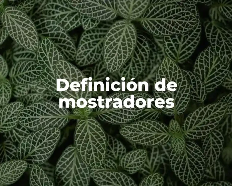 Definición de mostradores
