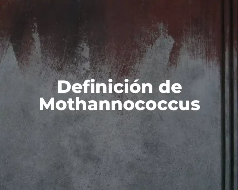 Definición de Mothannococcus