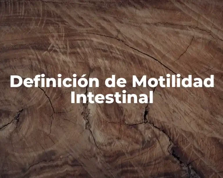 Definición de Motilidad Intestinal