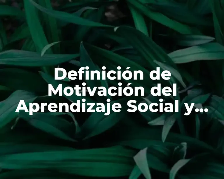 Definición de Motivación del Aprendizaje Social y Emocional