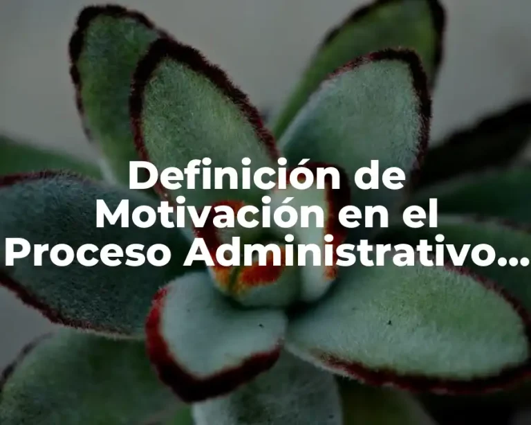 Definición de Motivación en el Proceso Administrativo Libros