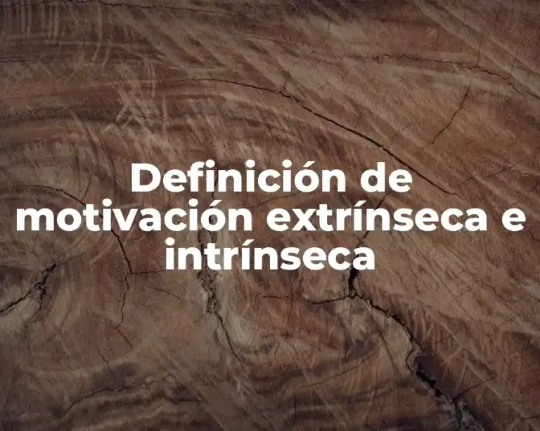 Definición de motivación extrínseca e intrínseca