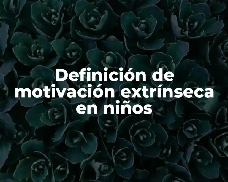 Definición de motivación extrínseca en niños