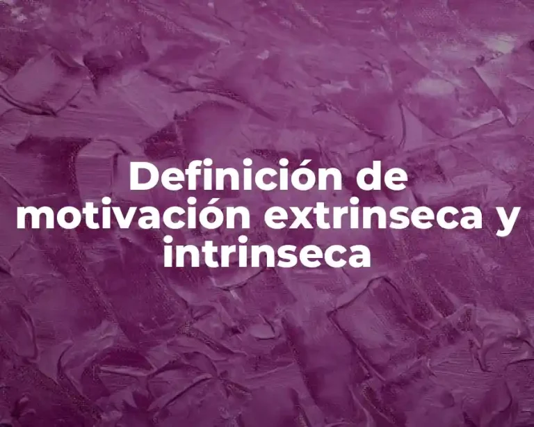 Definición de motivación extrinseca y intrinseca