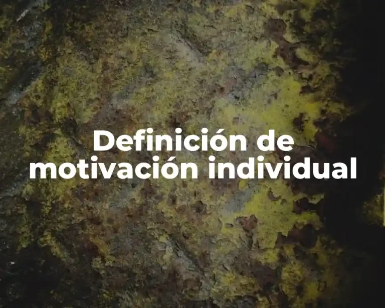 Definición de motivación individual