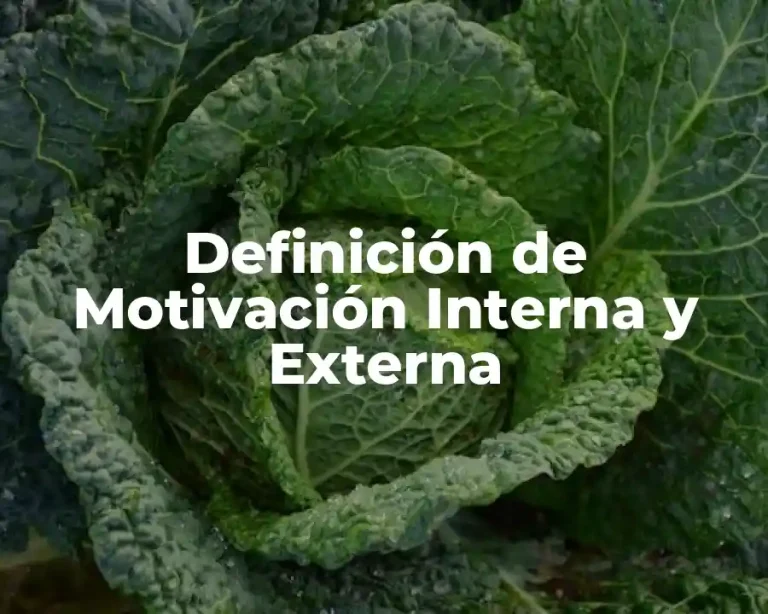 Definición de Motivación Interna y Externa