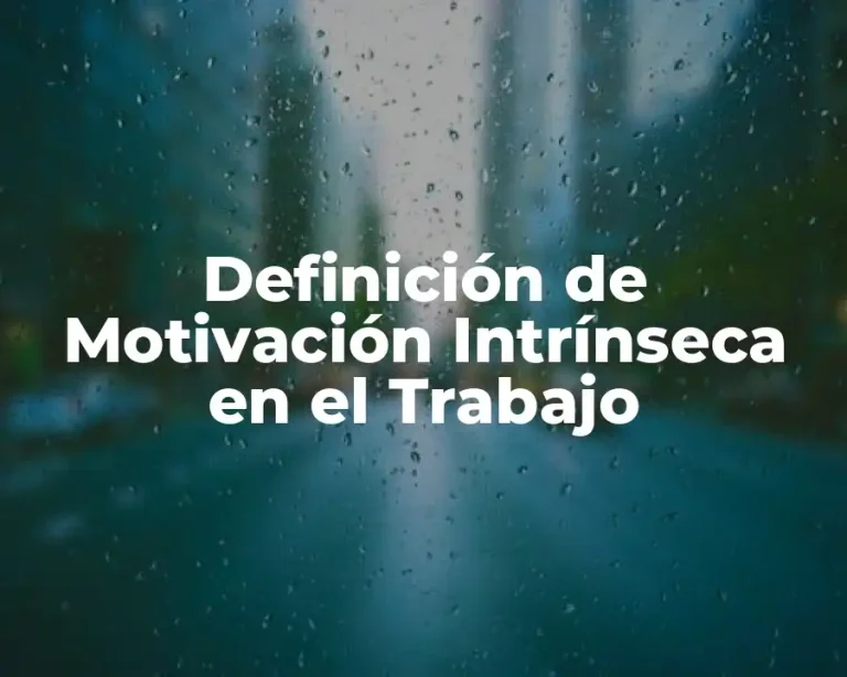 Definición de Motivación Intrínseca en el Trabajo