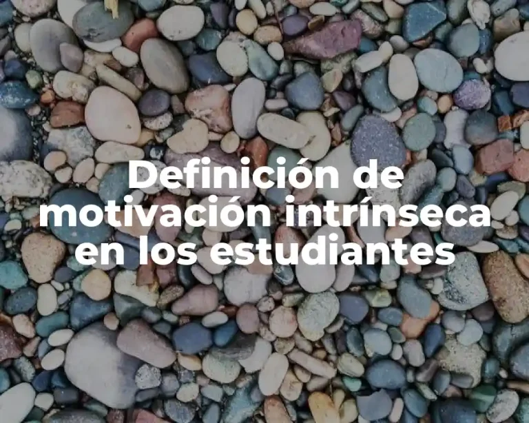 Definición de motivación intrínseca en los estudiantes