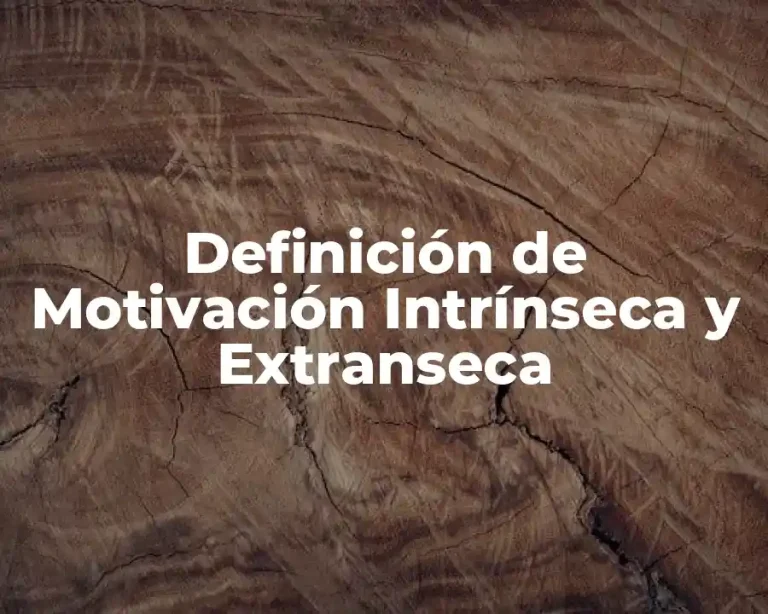 Definición de Motivación Intrínseca y Extranseca
