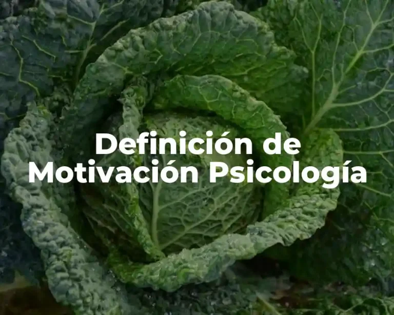 Definición de Motivación Psicología
