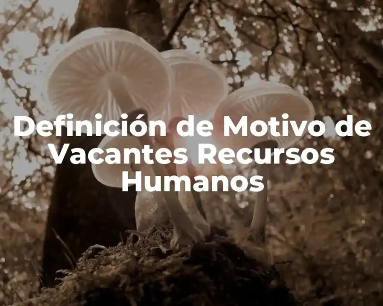 Definición de Motivo de Vacantes Recursos Humanos