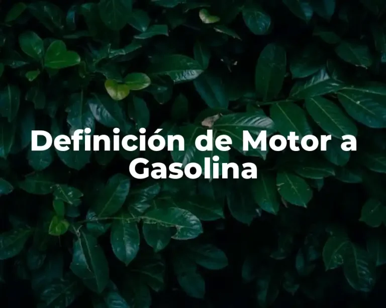 Definición de Motor a Gasolina