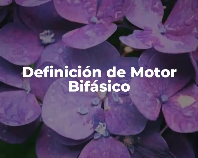 Definición de Motor Bifásico