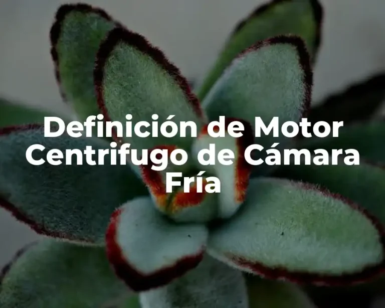 Definición de Motor Centrifugo de Cámara Fría