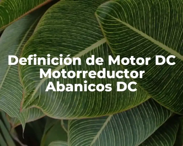 Definición de Motor DC Motorreductor Abanicos DC