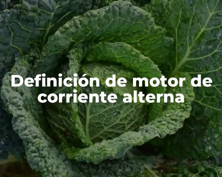 Definición de motor de corriente alterna