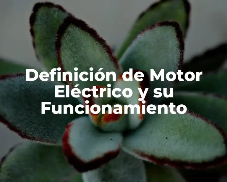 Definición de Motor Eléctrico y su Funcionamiento