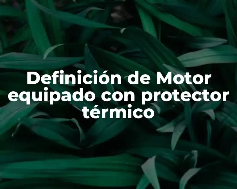 Definición de Motor equipado con protector térmico