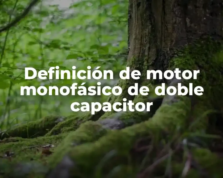 Definición de motor monofásico de doble capacitor