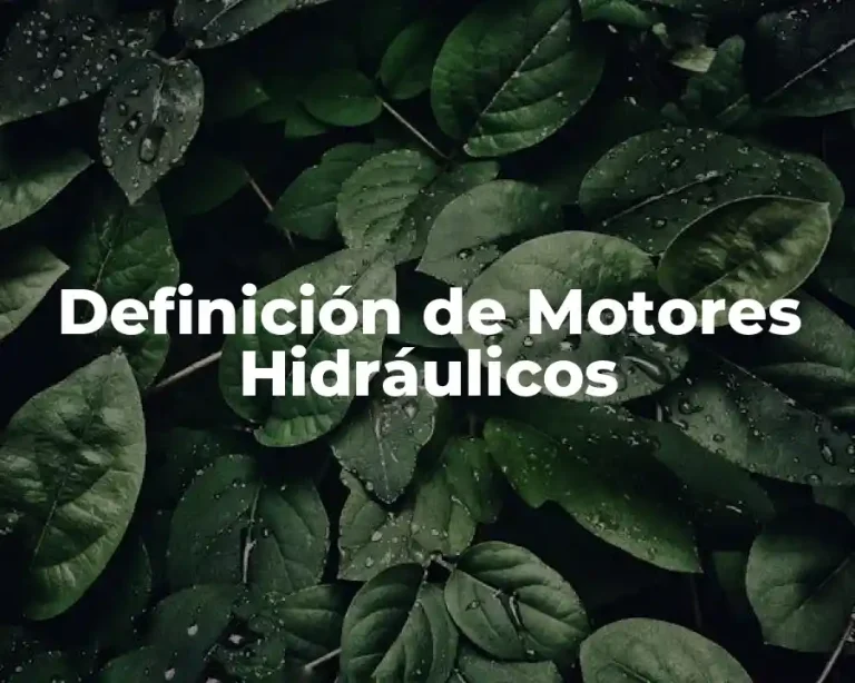 Definición de Motores Hidráulicos