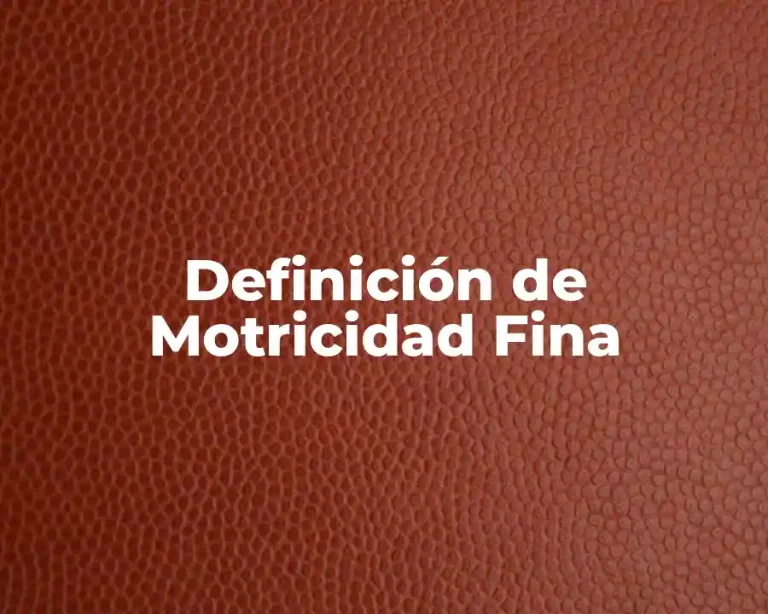 Definición de Motricidad Fina