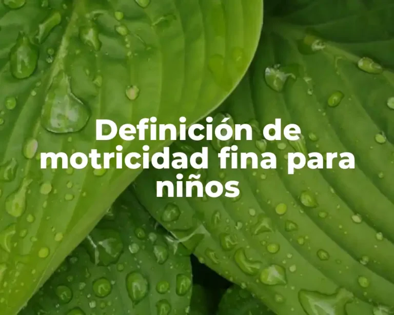 Definición de motricidad fina para niños