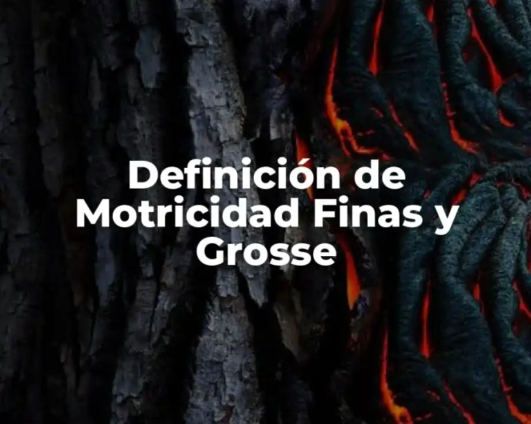 Definición de Motricidad Finas y Grosse