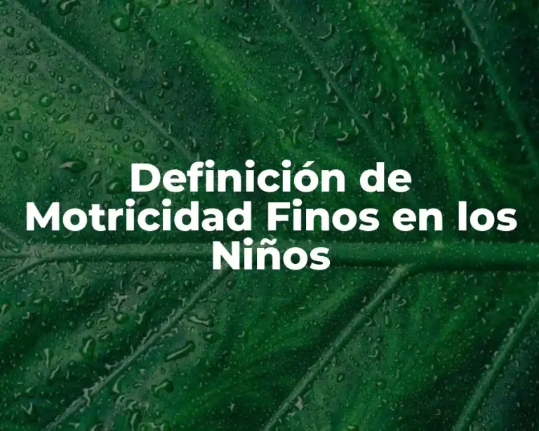 Definición de Motricidad Finos en los Niños