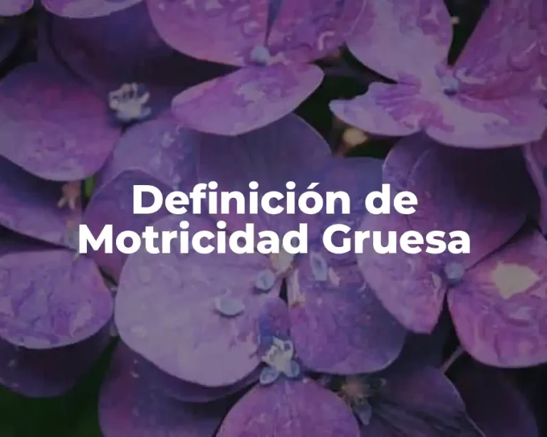 Definición de Motricidad Gruesa