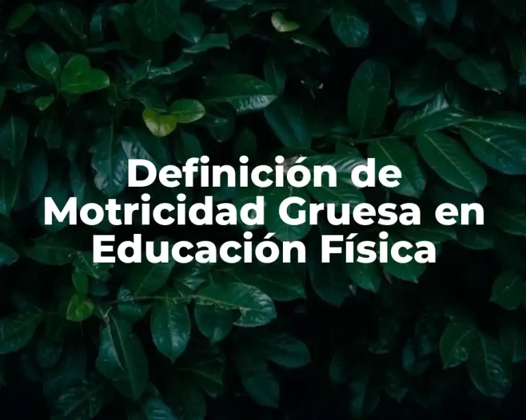 Definición de Motricidad Gruesa en Educación Física