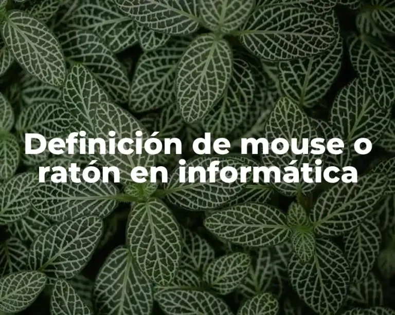 Definición de mouse o ratón en informática