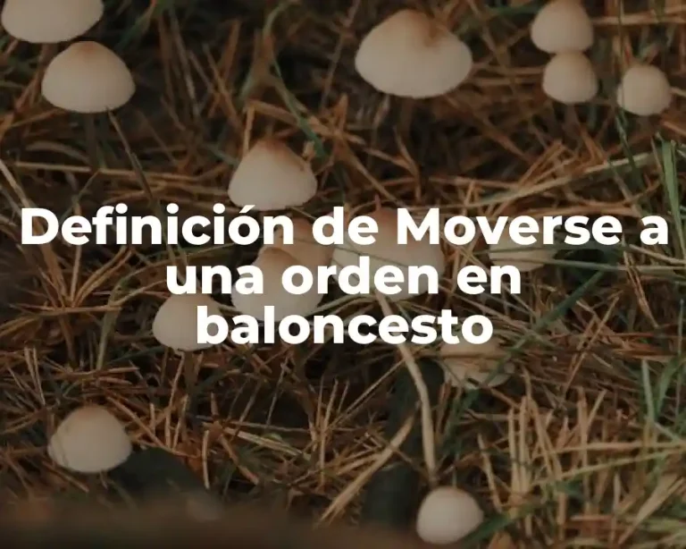 Definición de Moverse a una orden en baloncesto