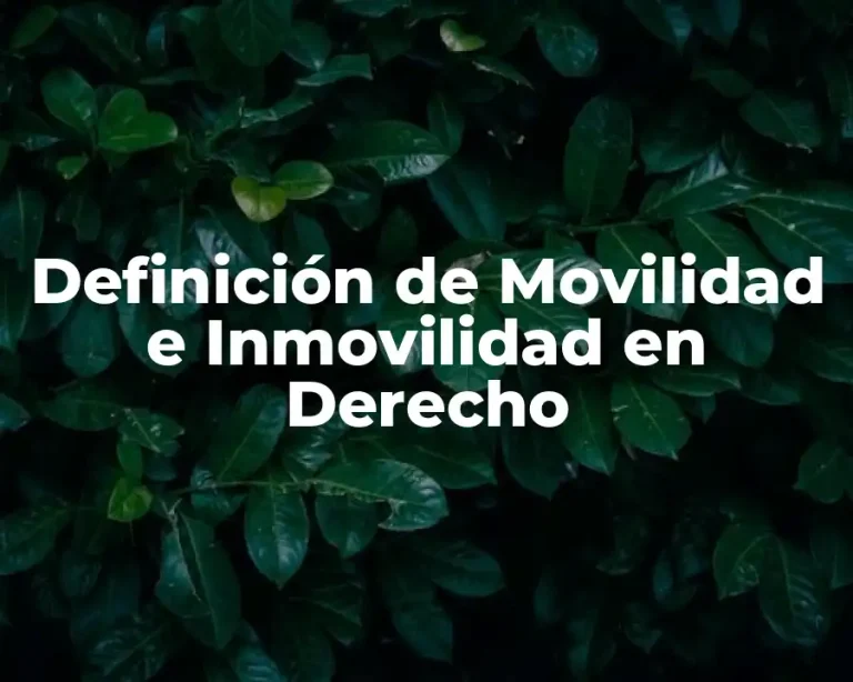 Definición de Movilidad e Inmovilidad en Derecho