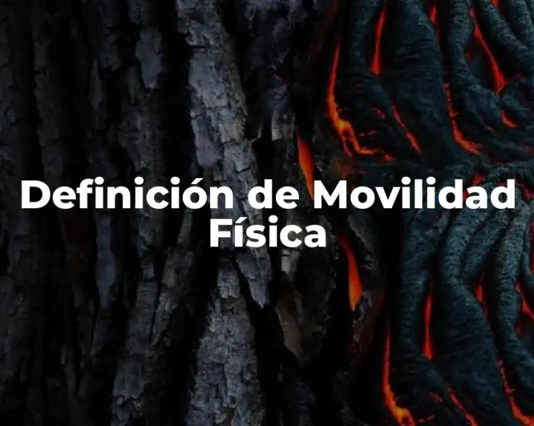 Definición de Movilidad Física