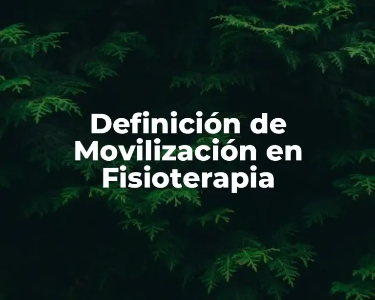 Definición de Movilización en Fisioterapia