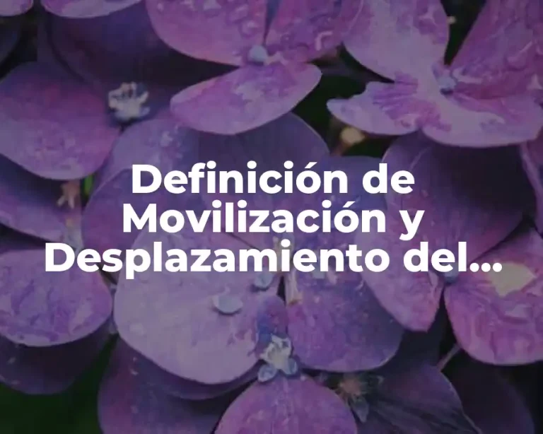 Definición de Movilización y Desplazamiento del Paciente
