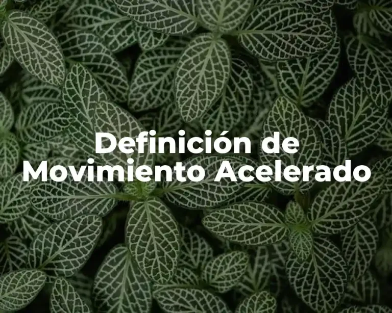 Definición de Movimiento Acelerado