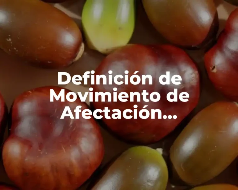 Definición de Movimiento de Afectación Presupuestal y Pagos