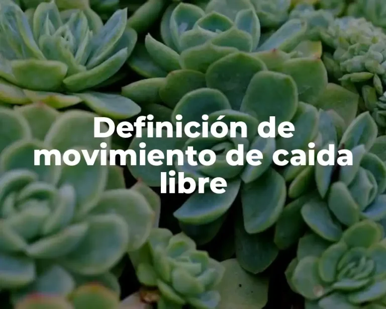 Definición de movimiento de caida libre