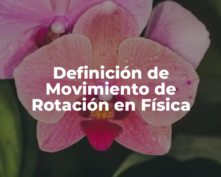 Definición de Movimiento de Rotación en Física
