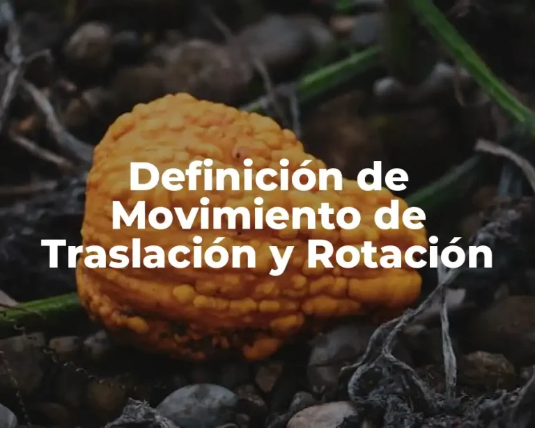 Definición de Movimiento de Traslación y Rotación