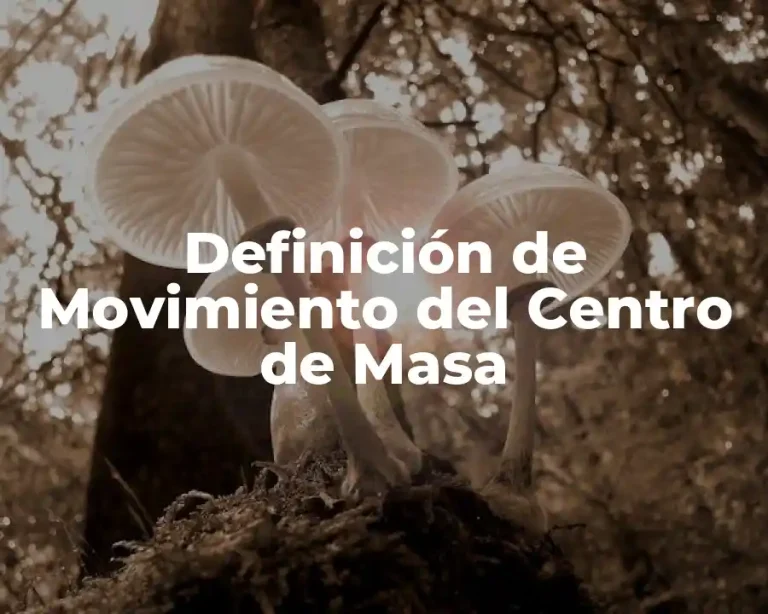 Definición de Movimiento del Centro de Masa