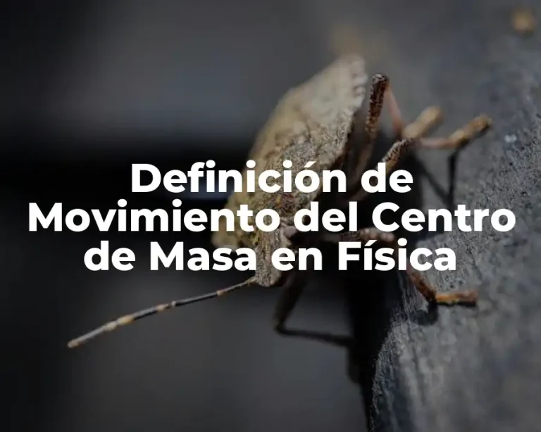 Definición de Movimiento del Centro de Masa en Física