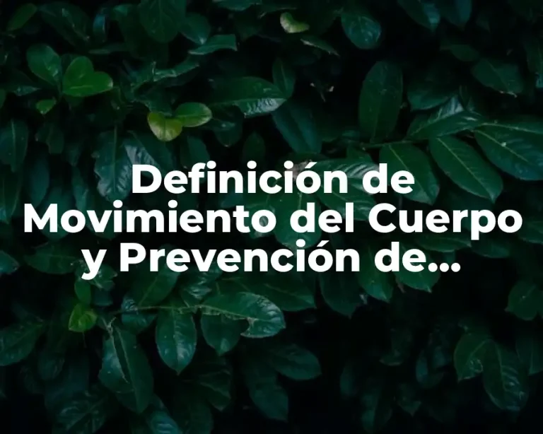 Definición de Movimiento del Cuerpo y Prevención de Lesiones