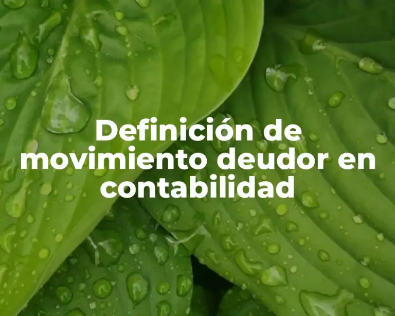 Definición de movimiento deudor en contabilidad